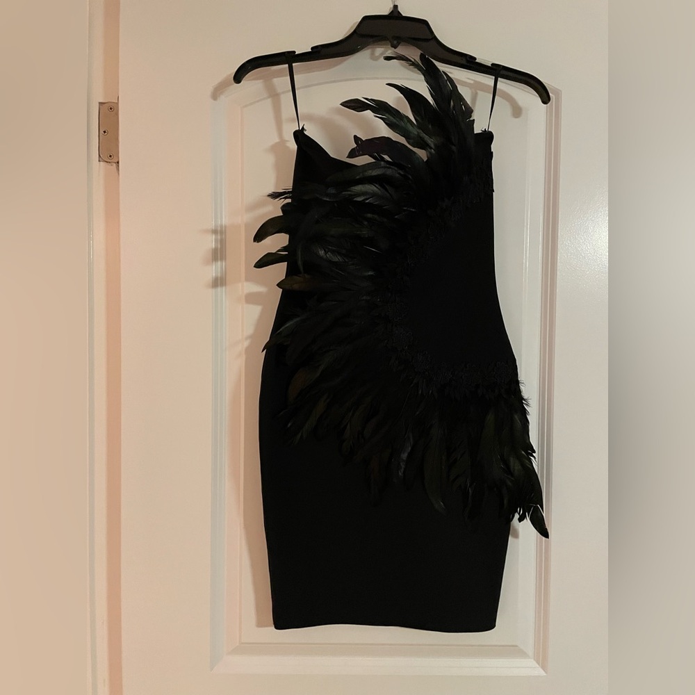 Elegant Black Feathered Dress